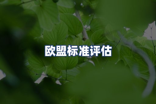 欧盟标准评估